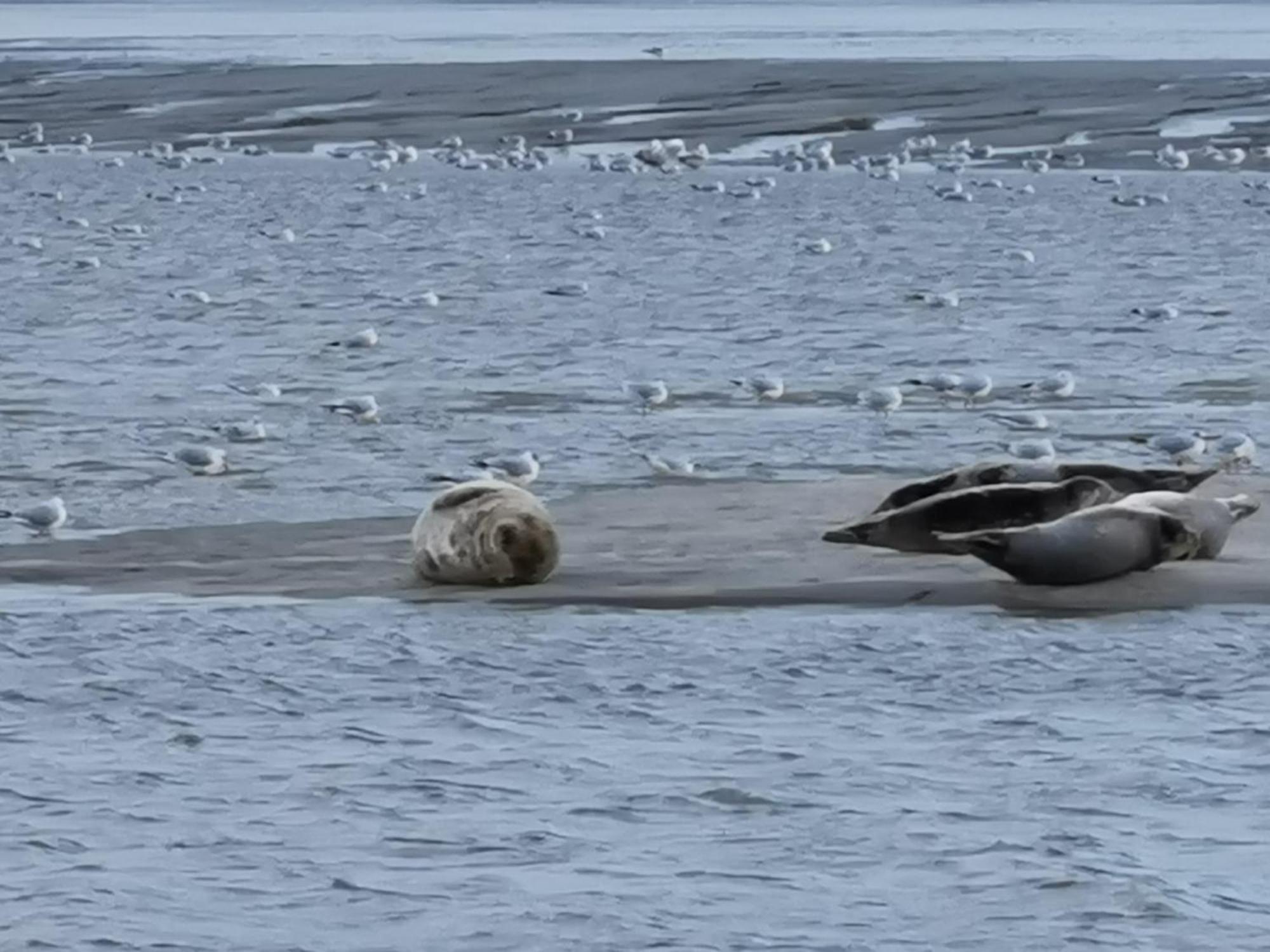 Amour Baie Berck Zewnętrze zdjęcie